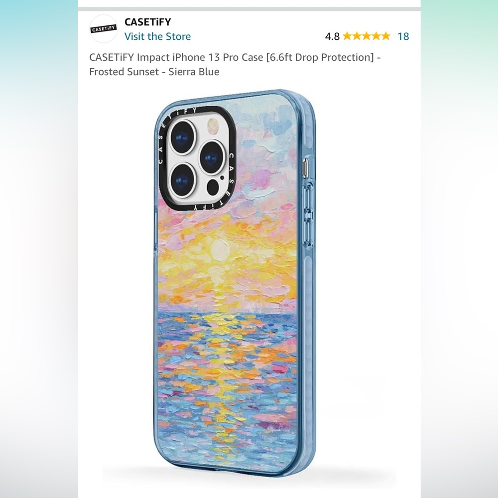 CASETiFY Impact iPhone 13 Pro Case